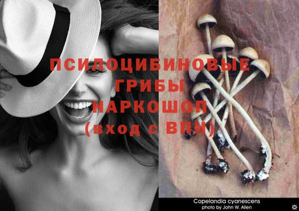 mix Бородино