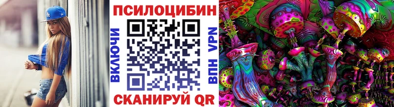 Галлюциногенные грибы мицелий  продажа наркотиков  Киселёвск 